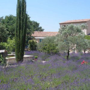 Charming Bed and Breakfast