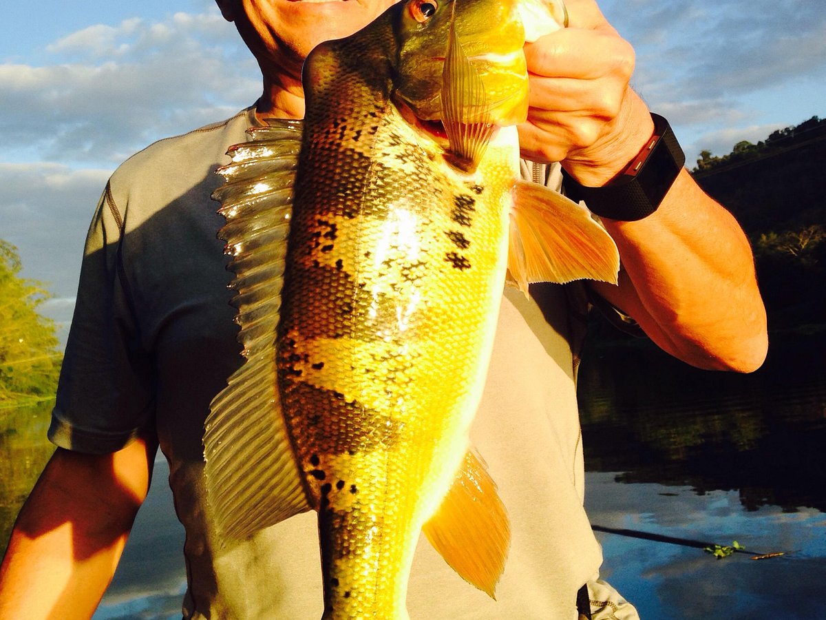 Peacock Bass and Tarpon Tours - All You Need to Know BEFORE You Go