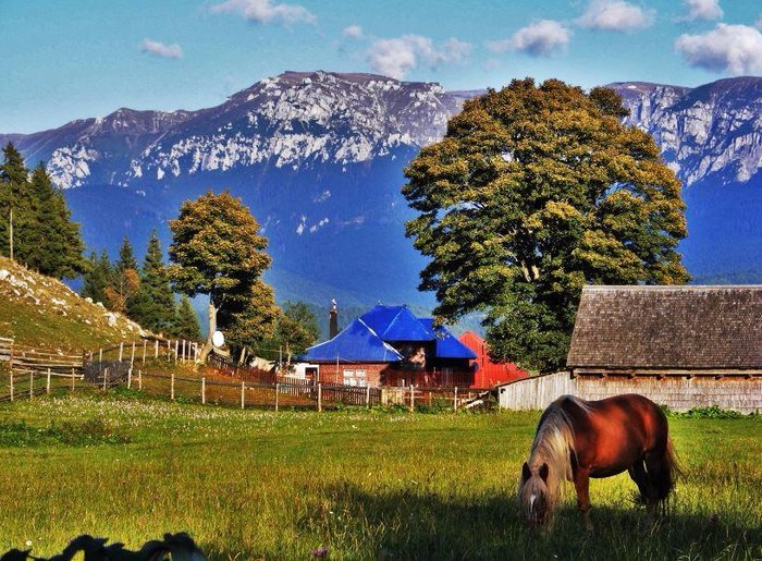 Fundata area - near Bran Castle