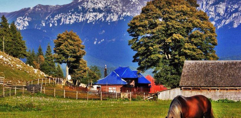 Fundata area - near Bran Castle