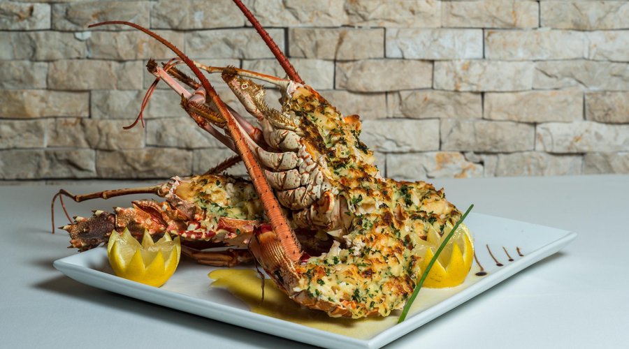 Our Famous Lobster thermidor