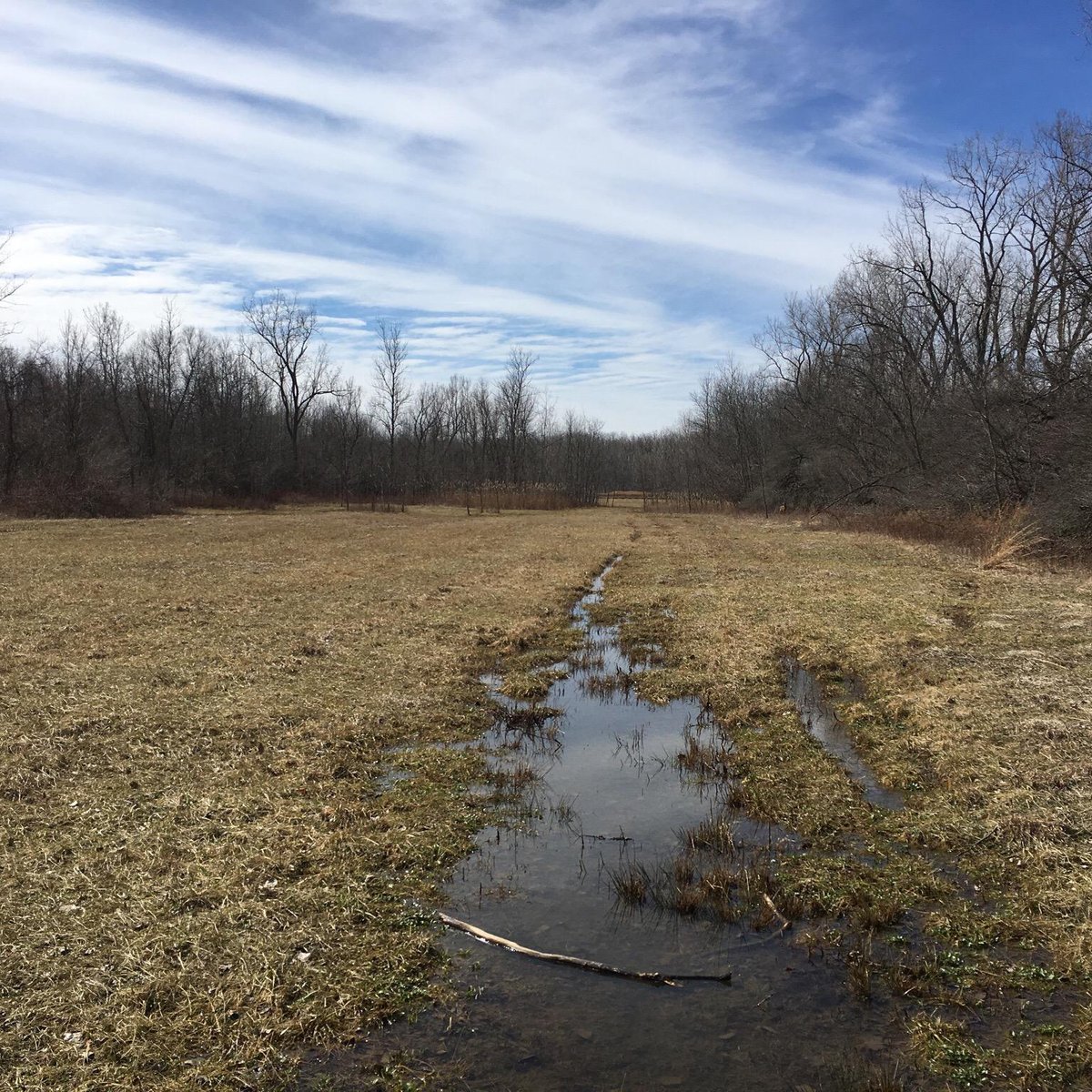 Stiglmeier Park (Cheektowaga) - All You Need to Know BEFORE You Go