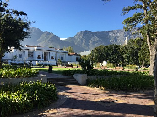 The 5 Best Cape Town Gardens Updated