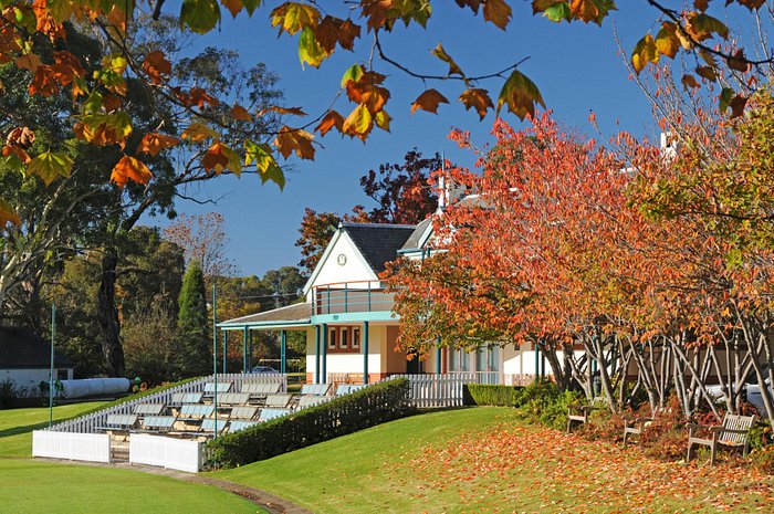 Beautiful Bradman Oval, Bowral in Autumn colour