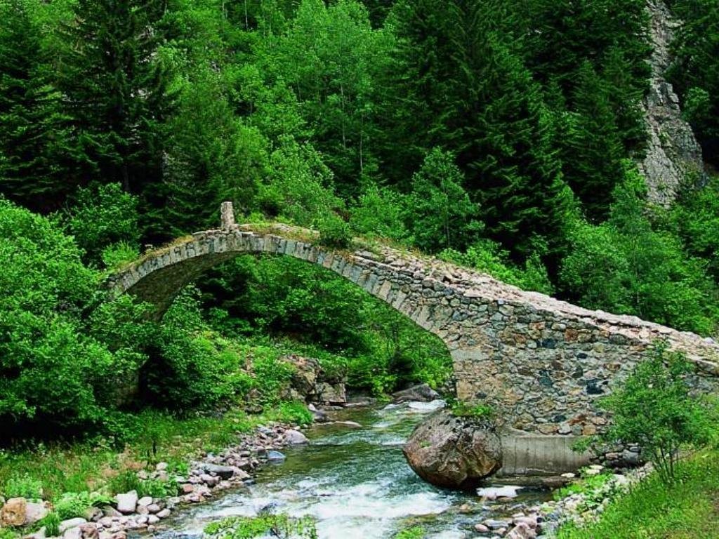 Altındere Vadisi Milli Parkı - Trabzon - Altındere Vadisi Milli Parkı  Yorumları - Tripadvisor
