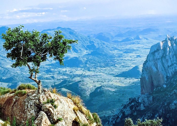 The view is great at the top of the mountain