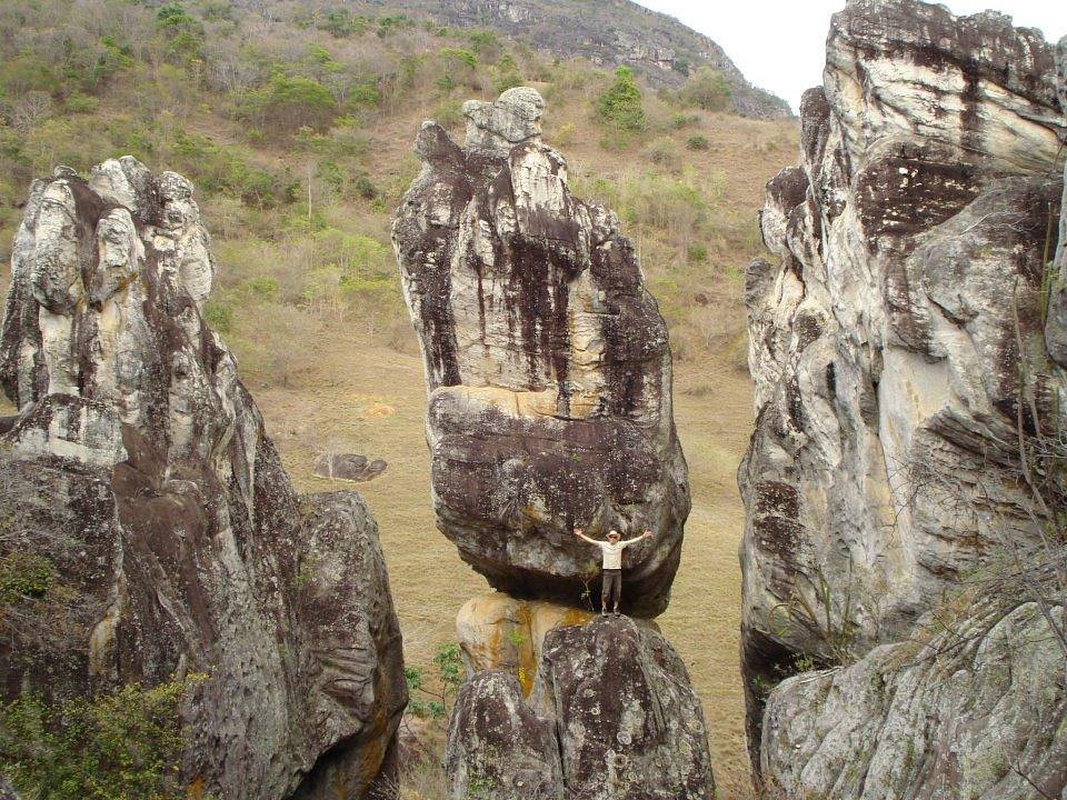 Biodiversidade do Parque Estadual de Sete Salões