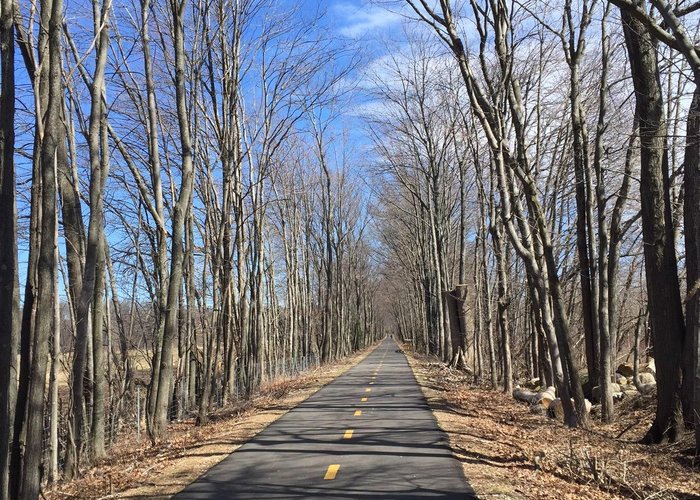 Typical trail scene: mostly woods