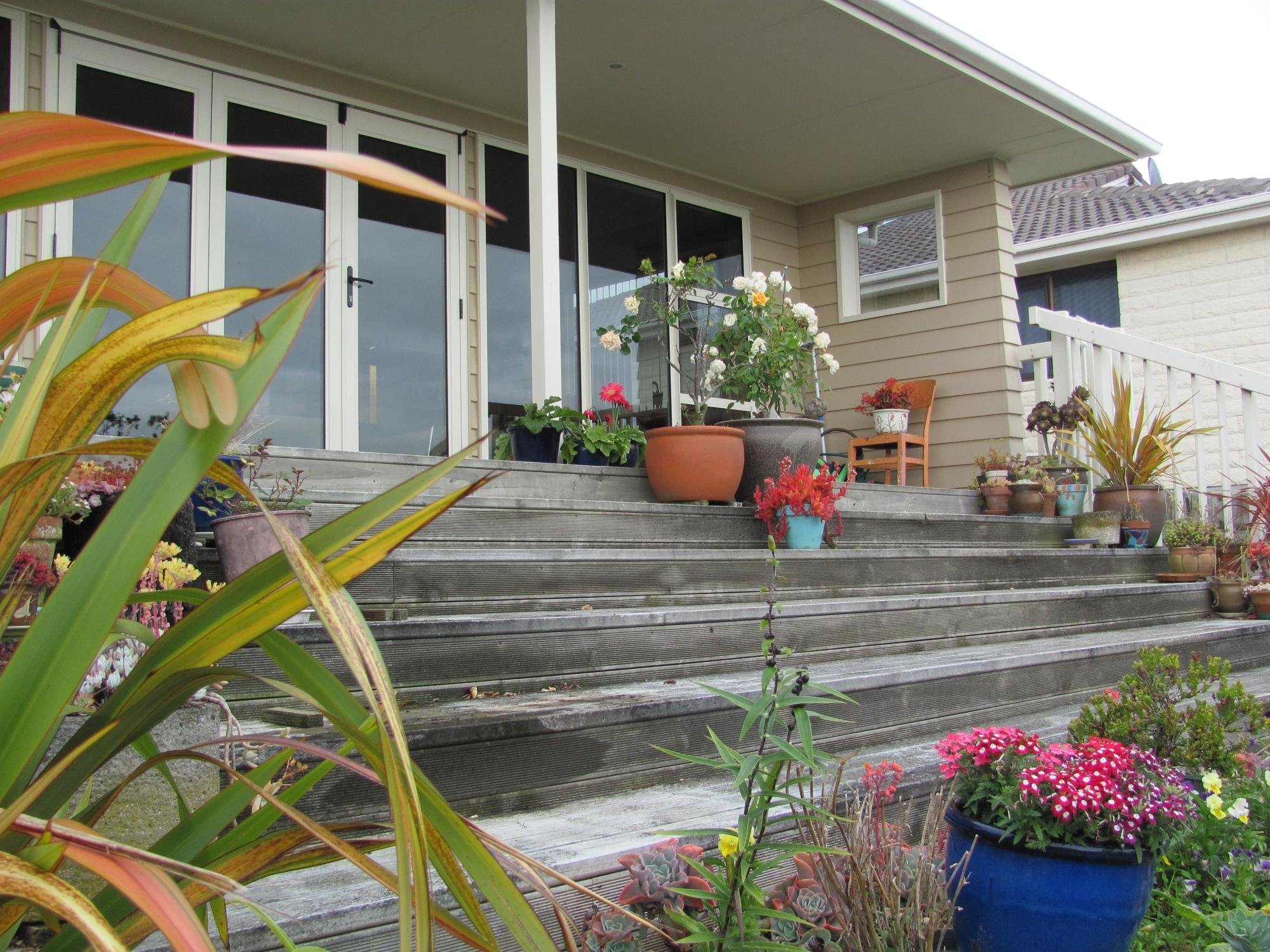 CATLINS GALLERY AND ACCOMMODATION - Specialty B&B Reviews (Kaka Point ...