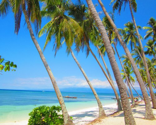 THE 15 BEST Things to Do in Siquijor Island (2024)