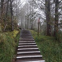 翠峰湖畔的步道,我非常喜歡;加上這裡屬高山湖,氣候變化快速,景色多變,也讓人難忘。每次走在這裡,很安靜,空氣也非常好。真正遠離塵囂,可以讓我真正放鬆心情,讓人放空,全心享受這美麗的風景中。