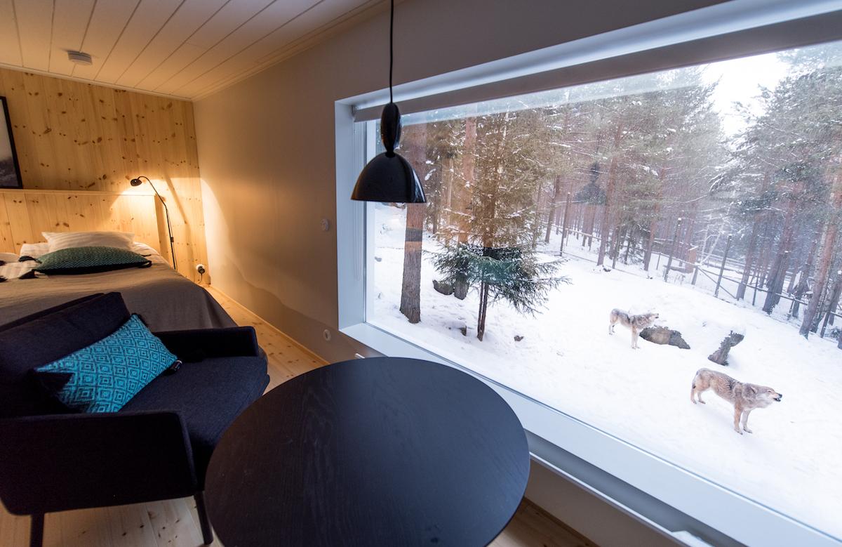 THE WOLF HOTEL (Jarvso, Suecia): Opiniones Y Fotos Del Albergue