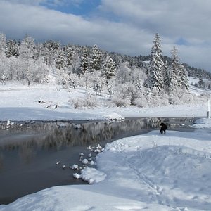 Merritt Ice Fishing in the Nicola Valley - Fishing BC 