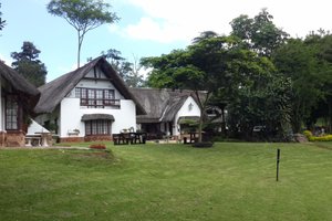 Habitación y suite