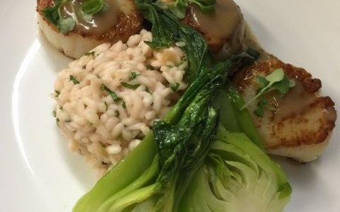Diver Scallops