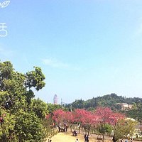 遠眺劍湖山
