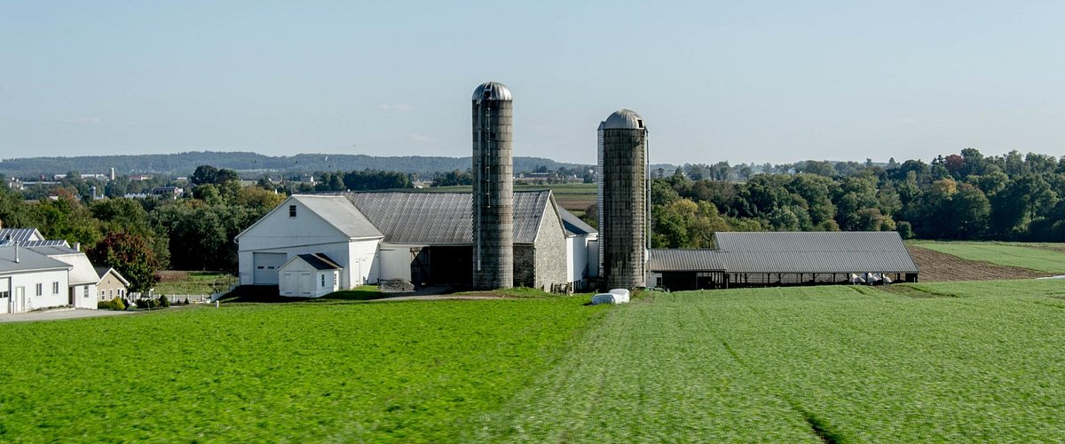 An Amish farm