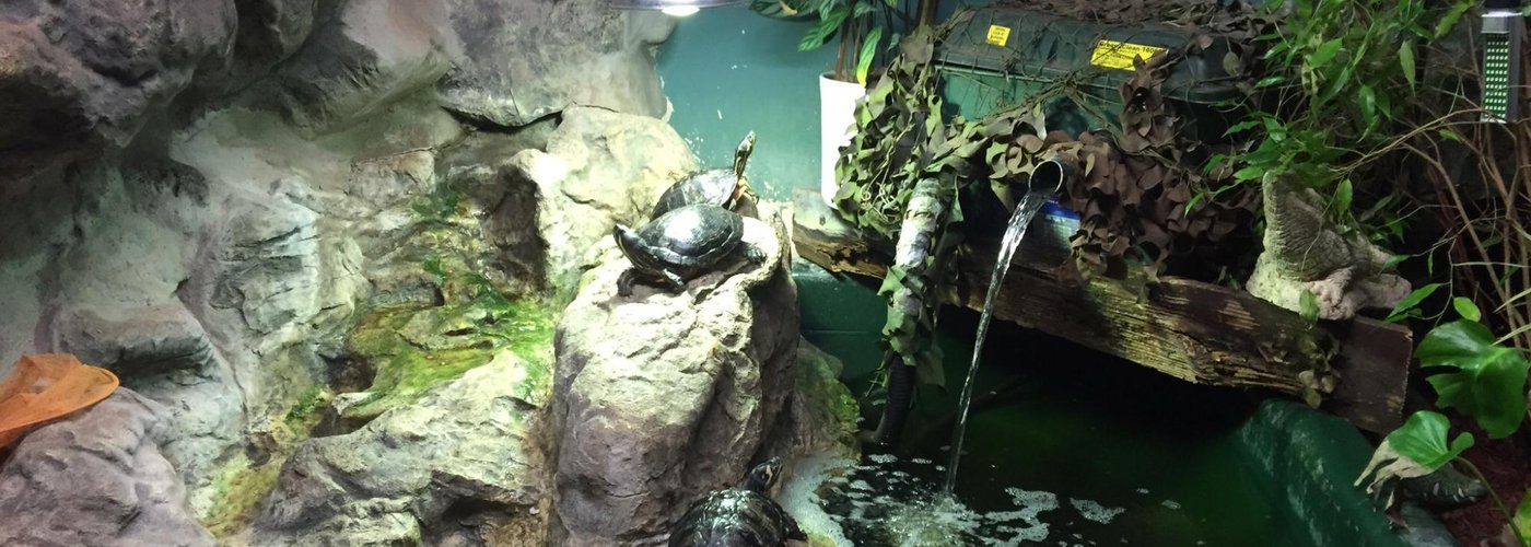 Terrapin pool