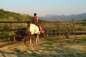 Viaggiatori