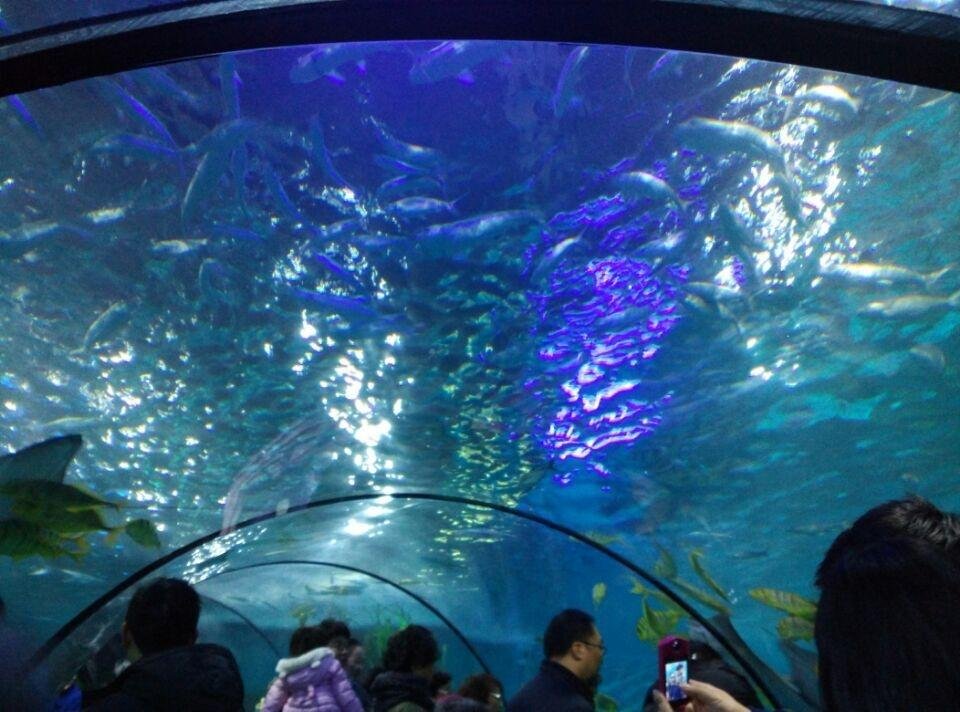 Nanjing Underwater World (2024) All You Need To Know Before You Go 