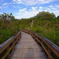 One of the several boardwalk trails at Hammock Park.