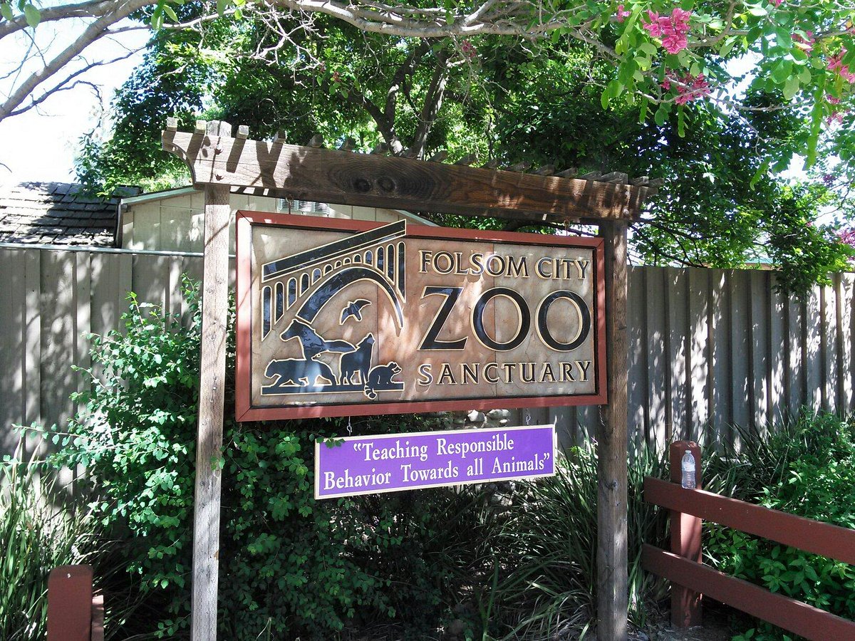 Folsom City Zoo Sanctuary: лучшие советы перед посещением - Tripadvisor