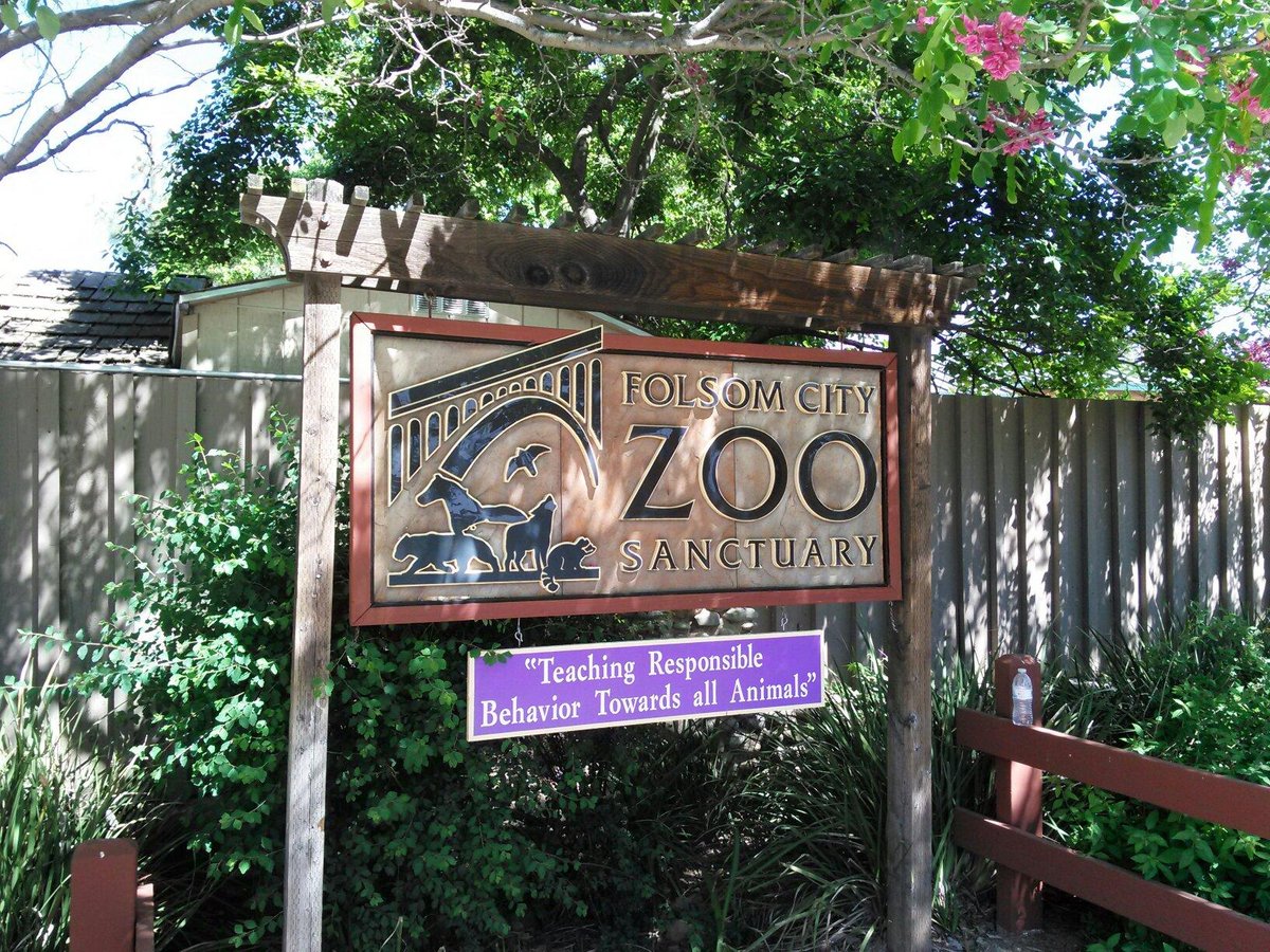 Folsom City Zoo Sanctuary: лучшие советы перед посещением - Tripadvisor