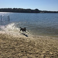 Bayview Dog Beach (Pensacola) - All You Need to Know BEFORE You Go