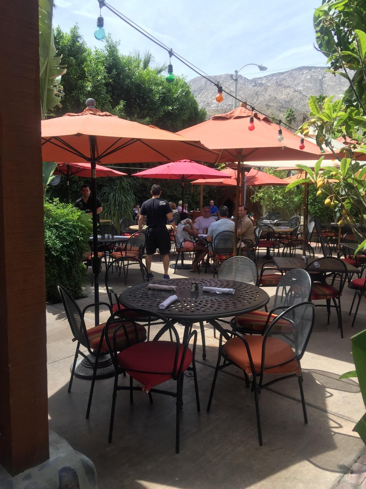 EL MIRASOL AT LOS ARBOLES, Palm Springs - Restaurant Reviews, Photos ...