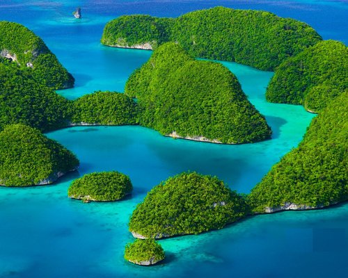 THE 15 BEST Things to Do in Palau (2024) - Must-See Attractions