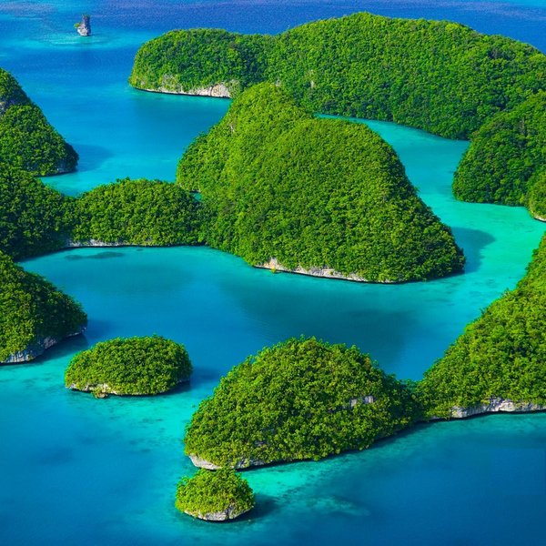 THE 10 BEST Hotels in Palau 2024 (with Prices) - Tripadvisor