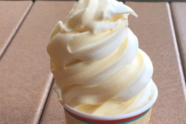 32 spots to grab ice cream in Orlando — LemonHearted