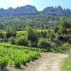 What to do and see in Sorgues, Provence-Alpes-Cote d'Azur: The Best Things to do