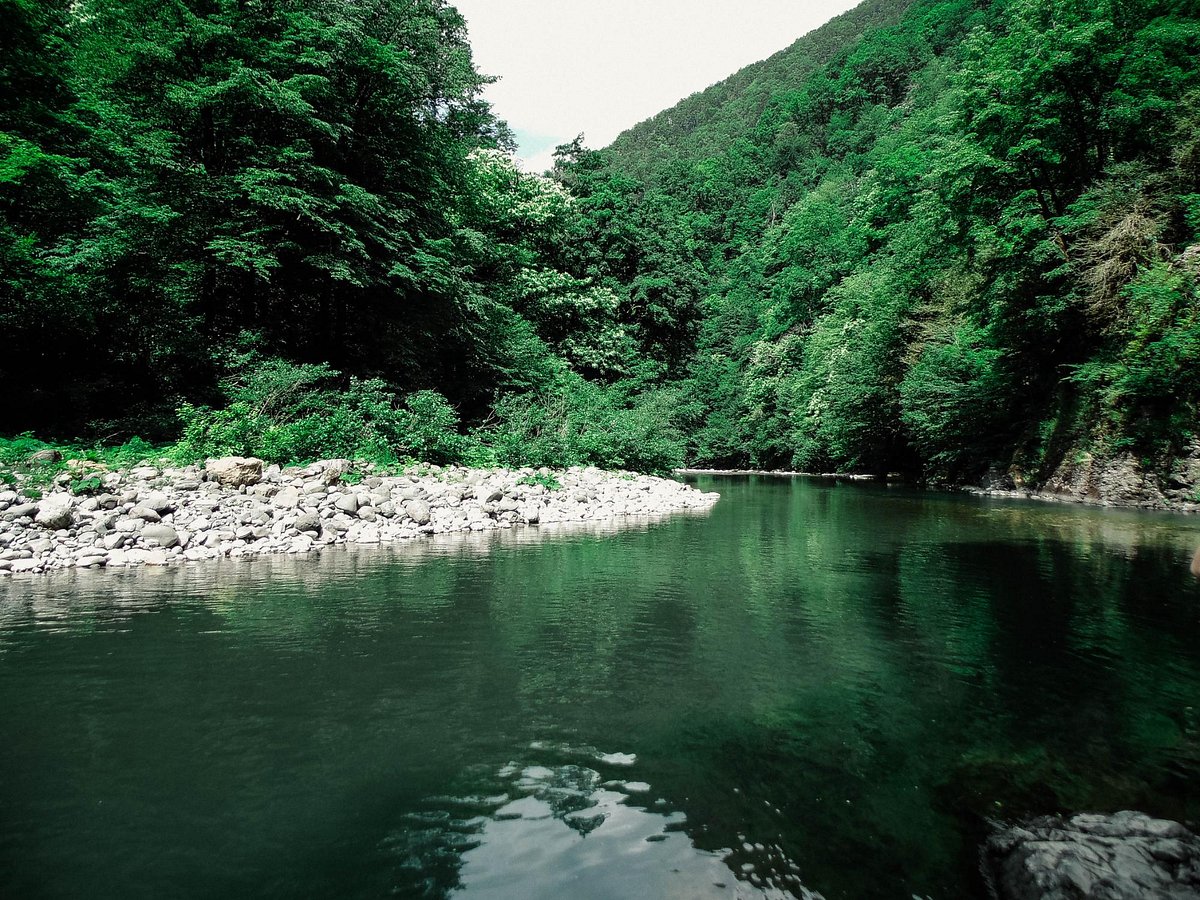 Ореховский водопад, Сочи: лучшие советы перед посещением - Tripadvisor