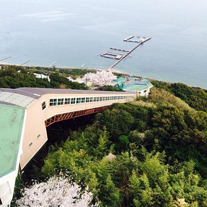 21年 神戸市で絶対外さないおすすめ観光スポットトップ10 定番から穴場まで トリップアドバイザー 21年 神戸市で絶対外さないおすすめ観光スポットトップ10 定番から穴場まで トリップアドバイザー