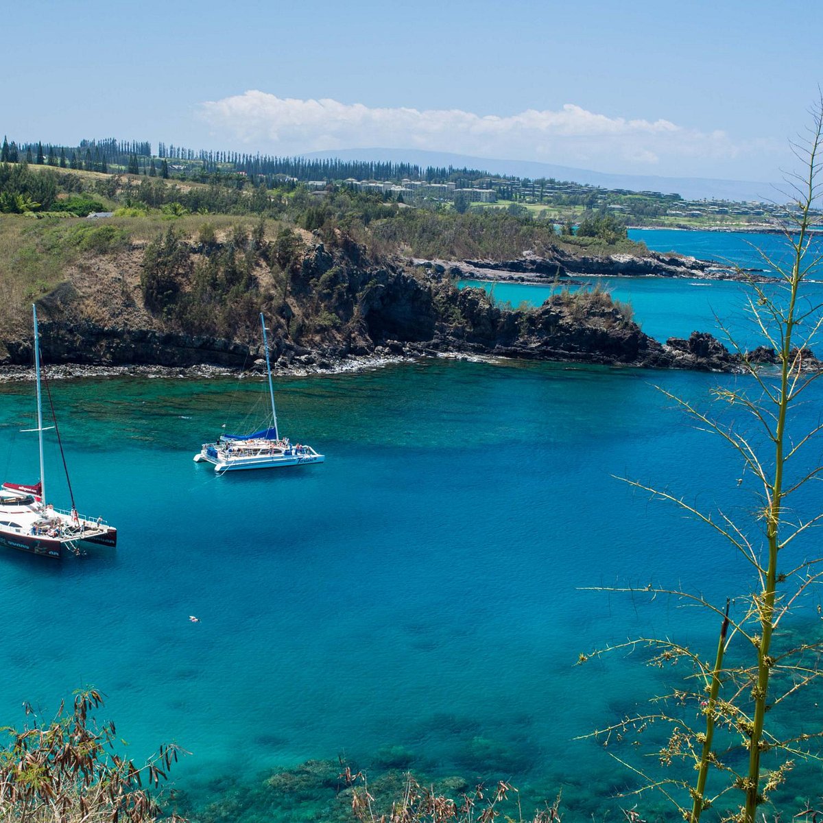 Honokohau Bay (Maui) - ATUALIZADO 2022 O que saber antes de ir - Sobre 