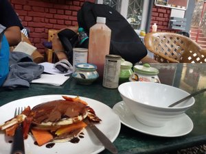 Food