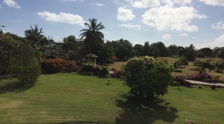Lovely grounds