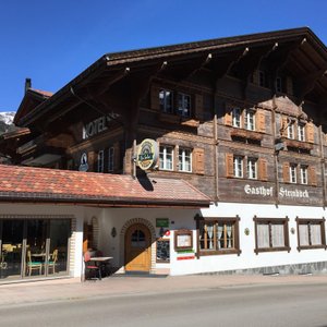 Chalet Hotel Steinbock