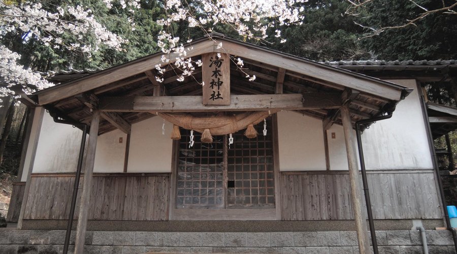 本堂の模様　背後は竹林