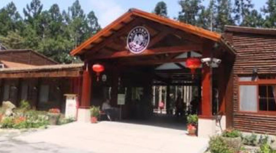 Comedor del hostal y recepción (habitaciones en la dirección opuesta del bosque)
