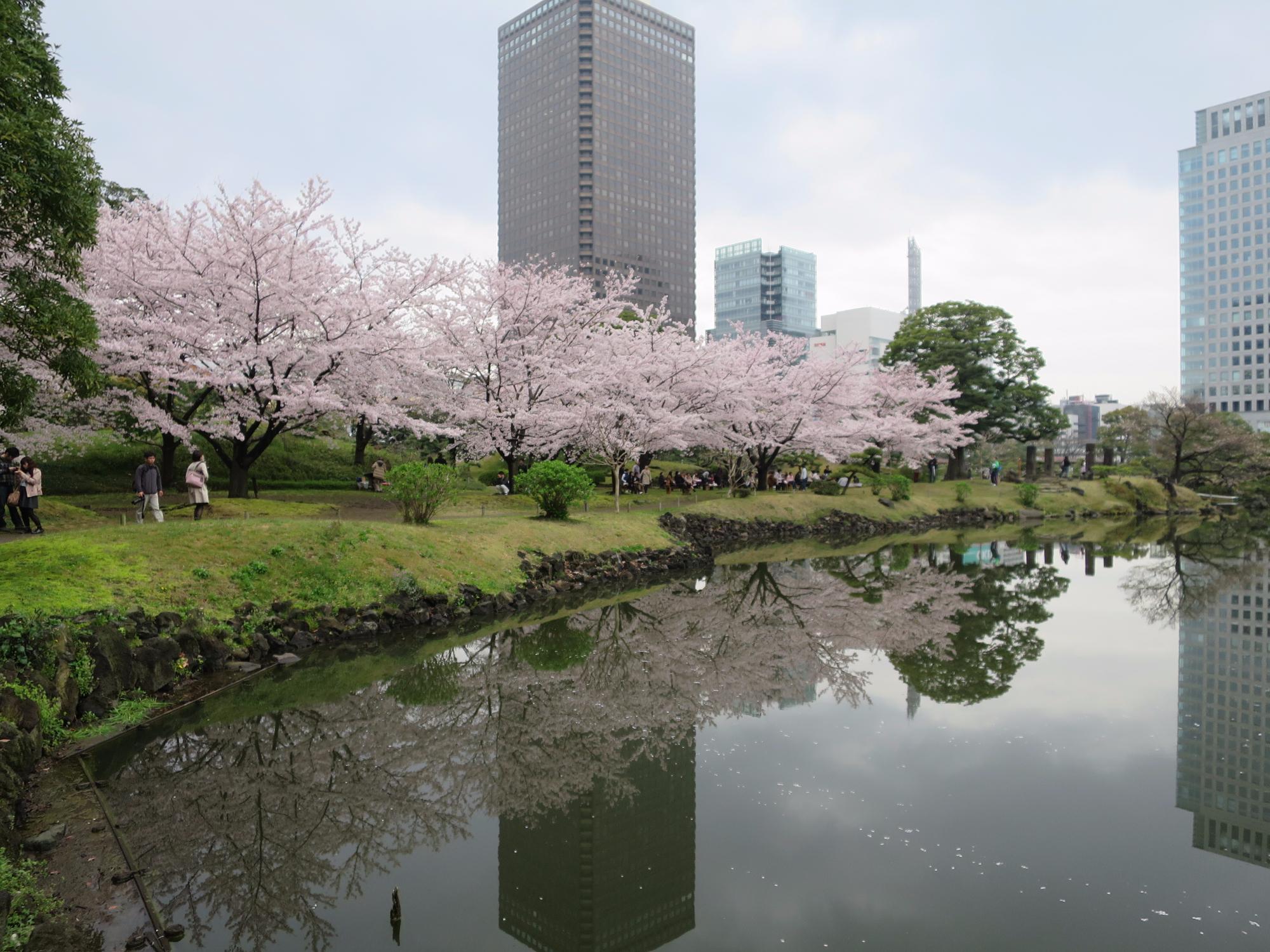 2025年 旧芝離宮恩賜庭園 - 出発前に知っておくべきことすべて