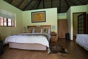 Room & Suite