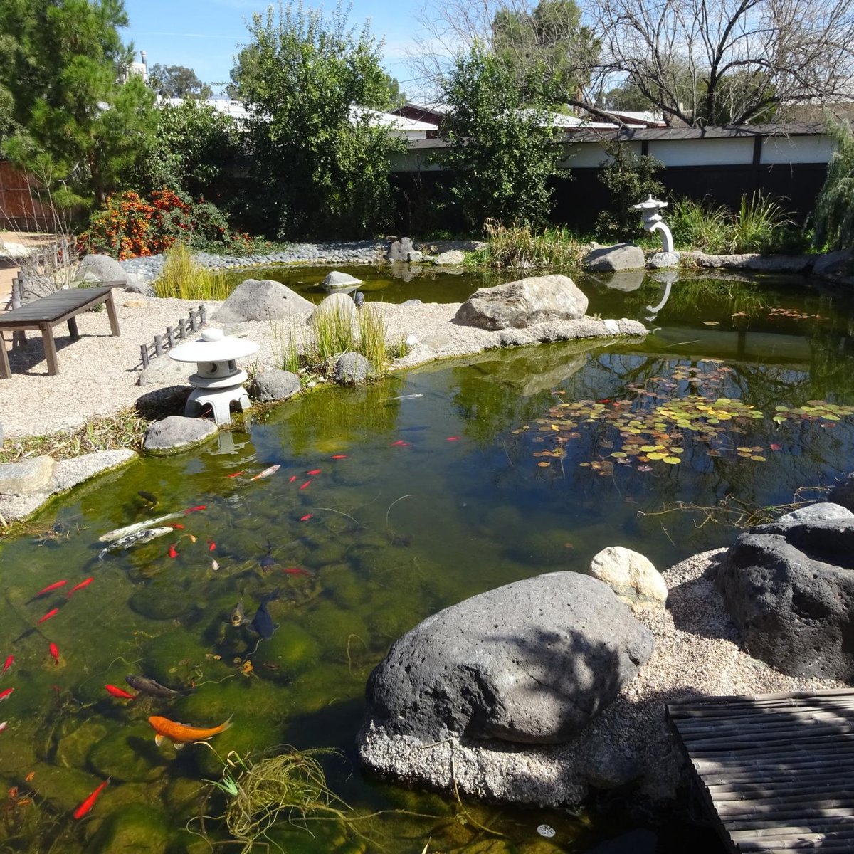 Yume Japanese Gardens (tucson) - All You Need To Know Before You Go