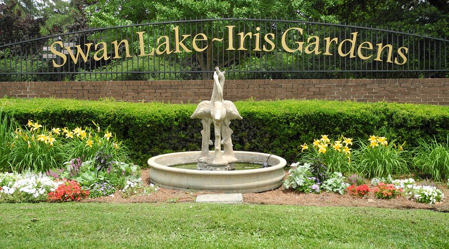 Swan Lake Iris Gardens: Explore Nature's Masterpiece