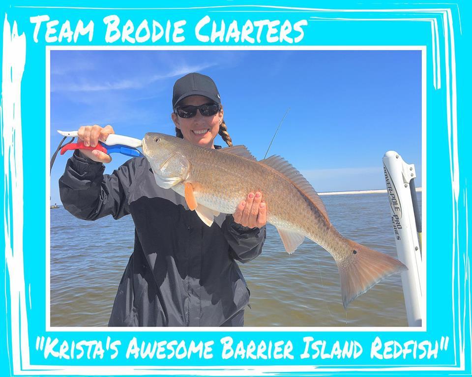 Team Brodie Charters All You Need to Know BEFORE You Go 2024