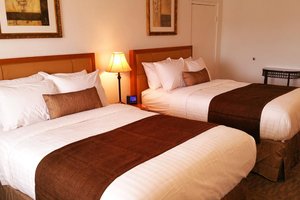 Room & Suite