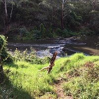 Great peaceful spot