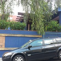 Sisal