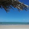 Things To Do in Mariscos Beach (Costa do Marlim), Restaurants in Mariscos Beach (Costa do Marlim)